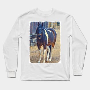 American Paint Horse Long Sleeve T-Shirt